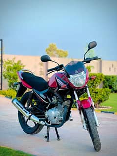 Yamaha YBR 125 2023 model