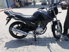 Yamaha YBR