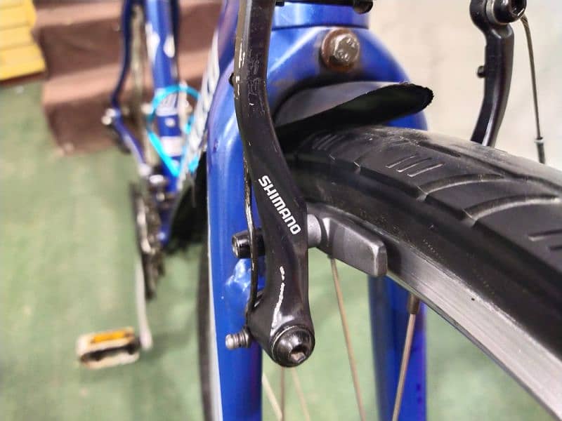 Specialized California 11