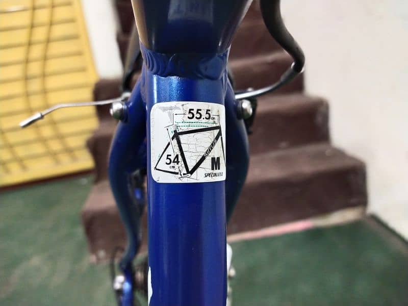 Specialized California 15