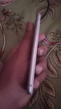 Appla