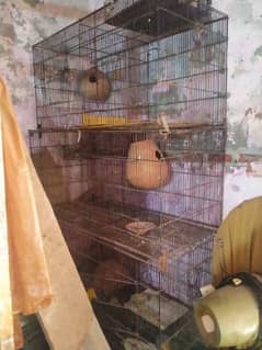 18 ×36 inch cage  size