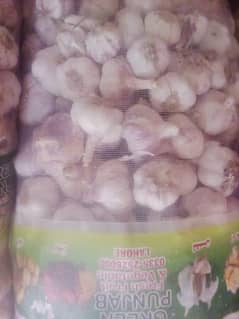 garlic