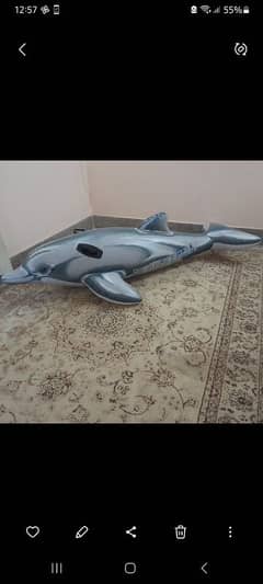 whale and shark