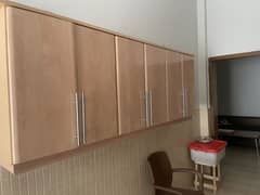 Kitchen Cabinets