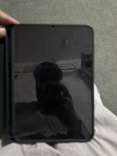 Ipad mini 7