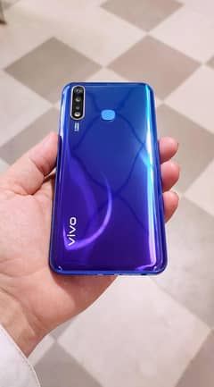 VIVO