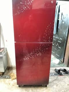 pel refrigerator full size