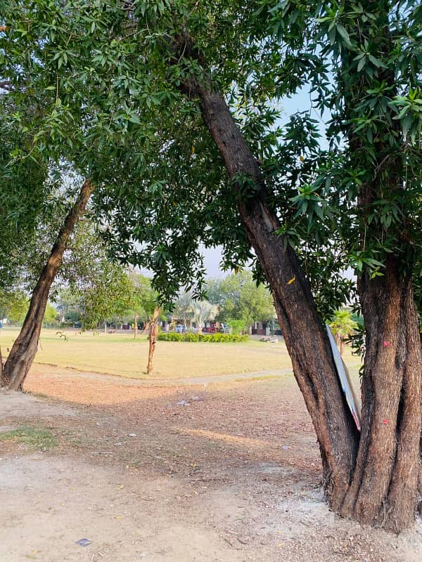 L Block Facing Theme Park Plot Available 9
