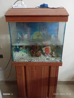 Fish Aquarium urgent sale