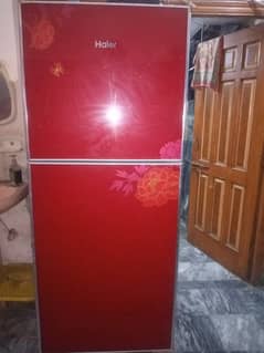 Hair Glass Door Fridge