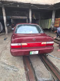 03331935981
