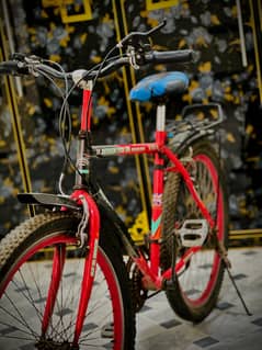welling bicycle [supeer bianchi] dedsigned for uk.