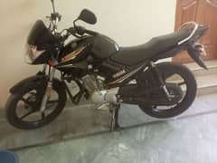 YAMAHA YBR 125