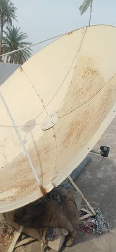 television dish 