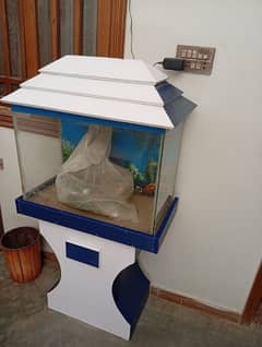 Fish Aquarium