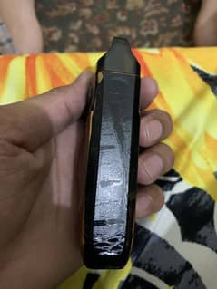 Smok nord