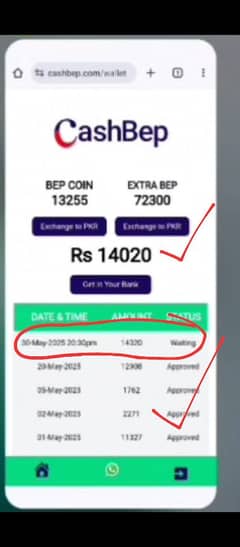 online earning money