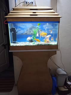 aquarium