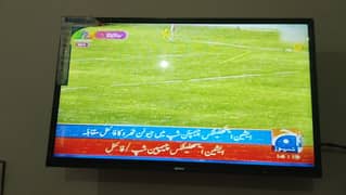Orient LED 32 inch