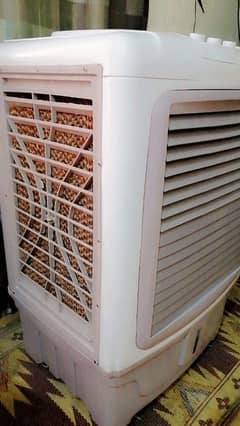 cooler