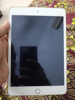 Ipad Mini 5 256GB