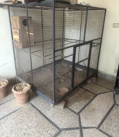 Big Birds cage for multiple parrots birds setup