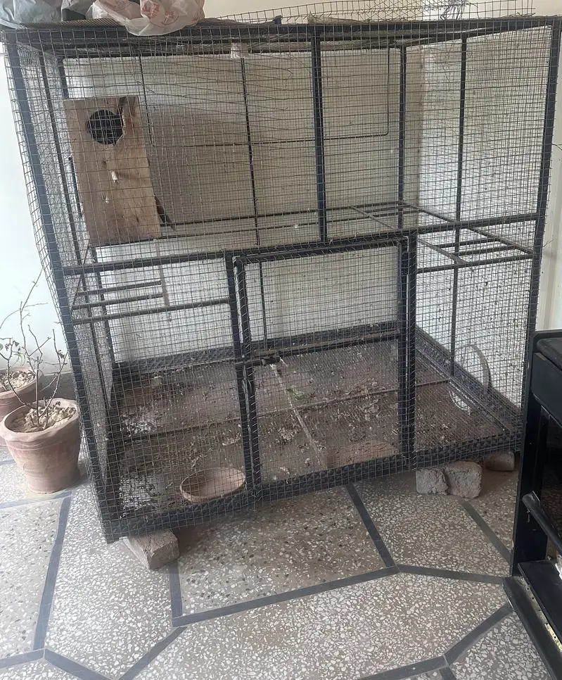 Big Birds cage for multiple parrots birds setup — photo 2