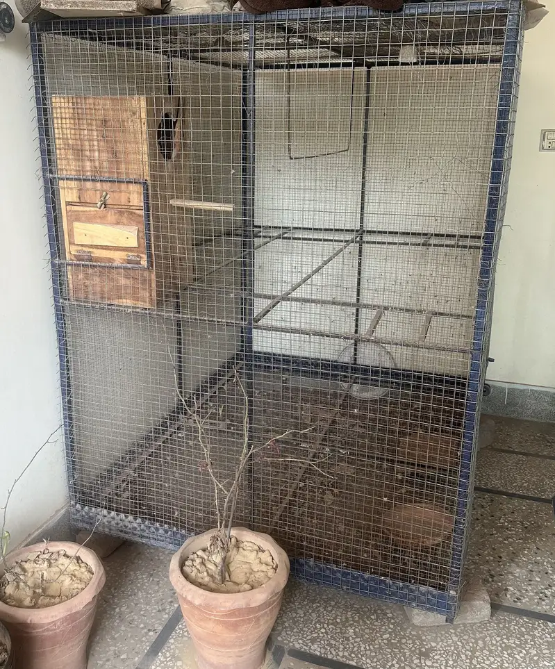 Big Birds cage for multiple parrots birds setup — photo 3