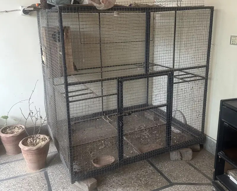 Big Birds cage for multiple parrots birds setup — photo 4