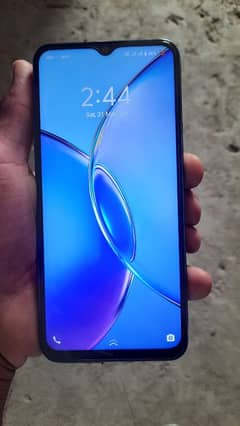 vivo