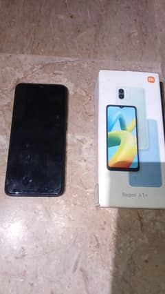 A1