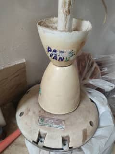 pak fan 56 inch