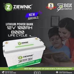 LITHIUM BATTERY POWER BANK 12V 100AH ZIEWNIC
