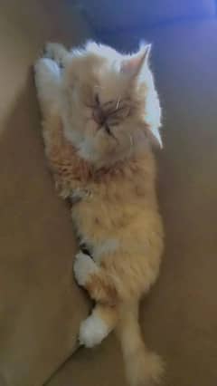 piki
