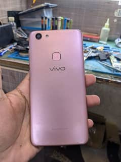vivo