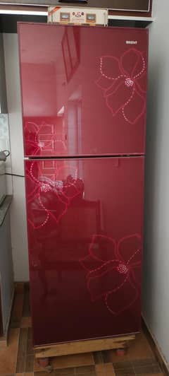 medium size fridge 10/10 condition