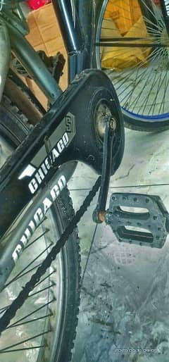 champion edition