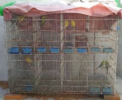 16 portion cage