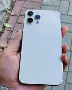 iPhone 12pro max