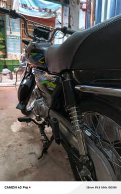 UNiQUE 70cc 2024
