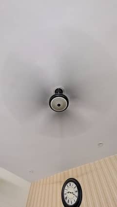 Pak Fan 56 inches full size
