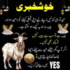 دیر کس بات کی ابھی رابطہ کر کے گھر بیٹھے لاکھوں کمائیں ،
