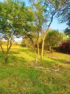 14 Kanal Farm House For Sale Main Bedian Road Thethar