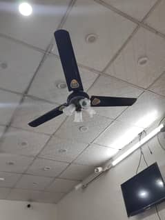 Fan Black