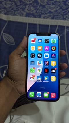 iphone 12 pro max 256 approve
