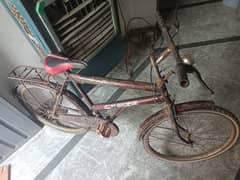 Cycle/Bicycle