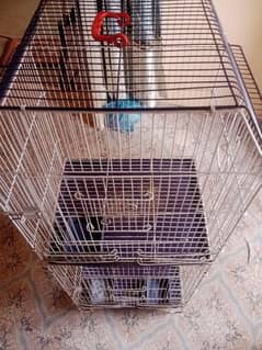 Birds Cage | Parrot cage