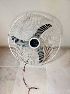 2 fen hen 12 watt wale
