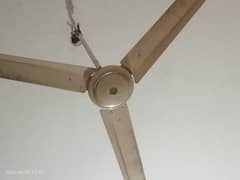 56 inches fan